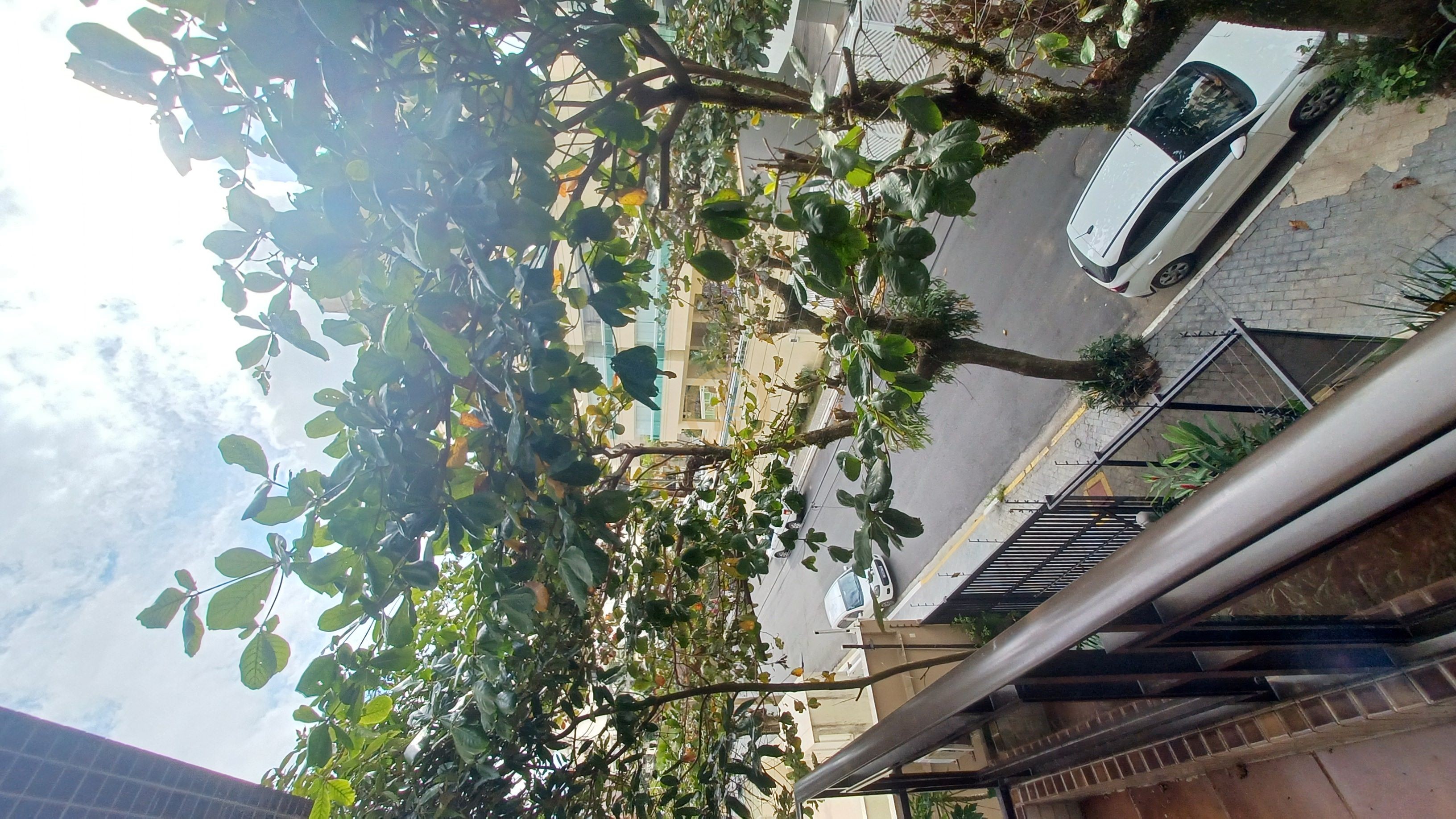 Apartamento na Praia da Enseada, Guarujá - SP